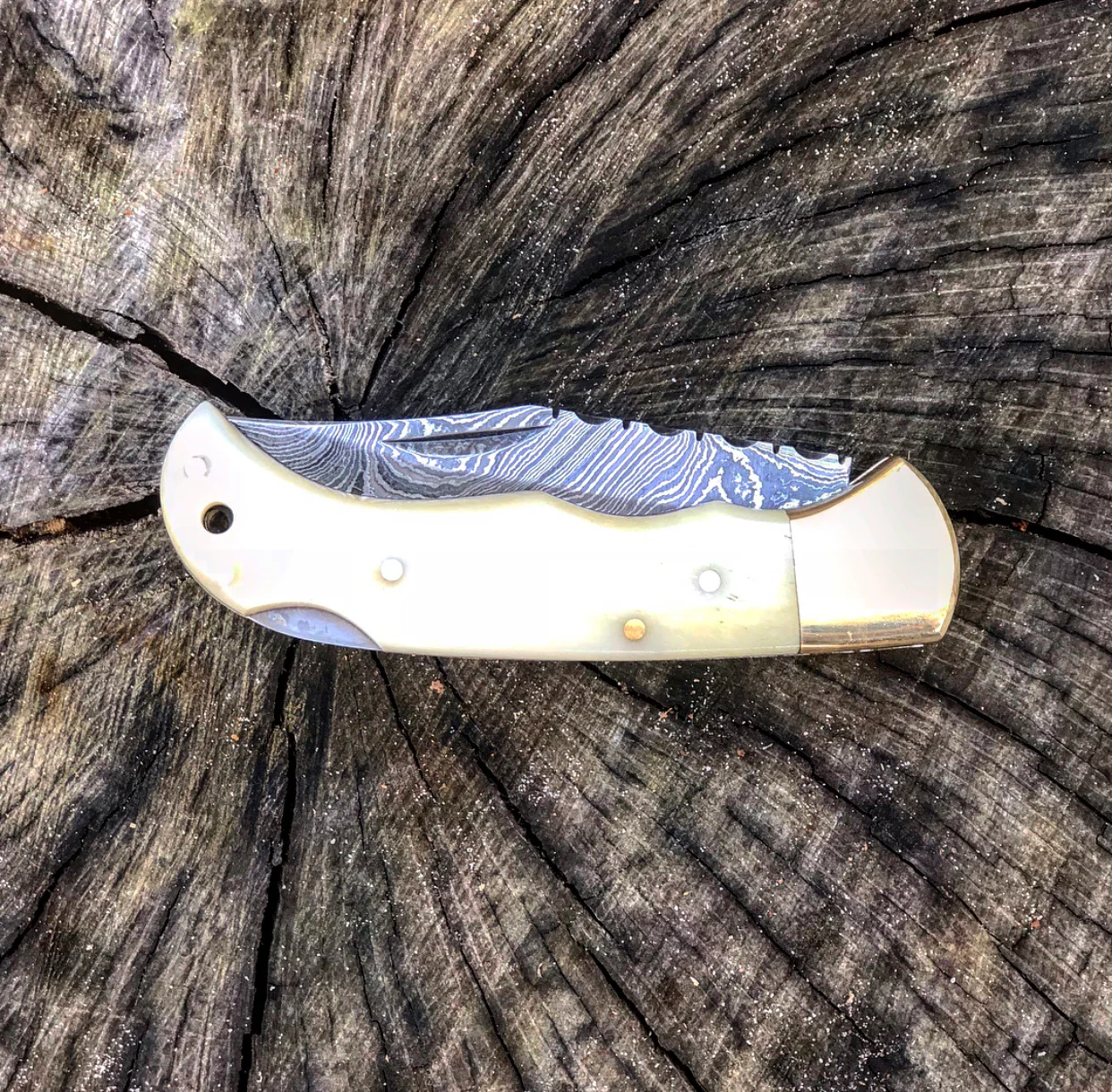 Camel Bone Lockback- VG27 - Image 4