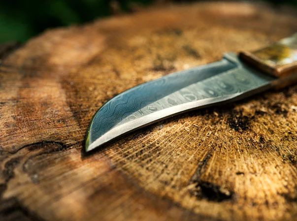 Ram’s Horn Fixed Blade Hunter Knife VG 102 - Image 5