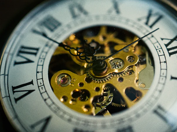TreeWeto Vintage Pocket Watch - Image 5
