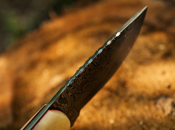 Walnut Fixed Blade- VG22 - Image 5